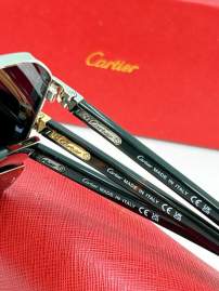 Picture of Cartier Sunglasses _SKUfw80536982fw